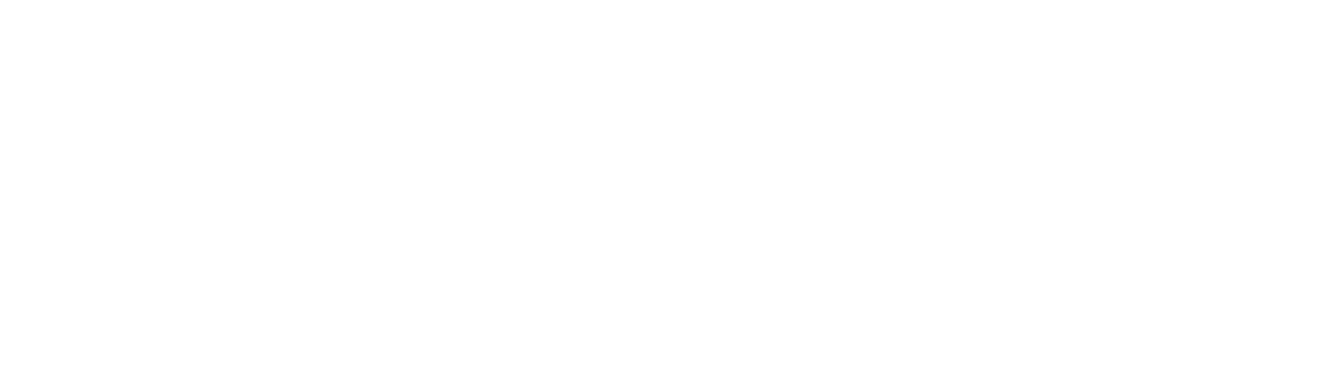 Lotus Brussels